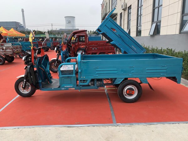 Bulk Purchase Electric Trike Auto Rickshaw 100km 2000W 3000W for Passenger Transport - Image 5