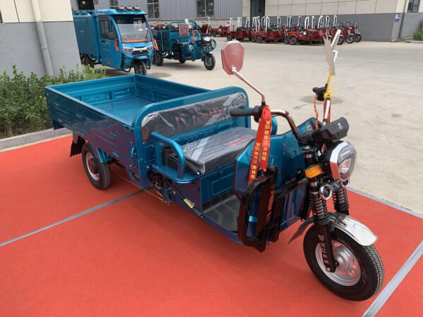 Bulk Purchase Electric Trike Auto Rickshaw 100km 2000W 3000W for Passenger Transport - Image 6